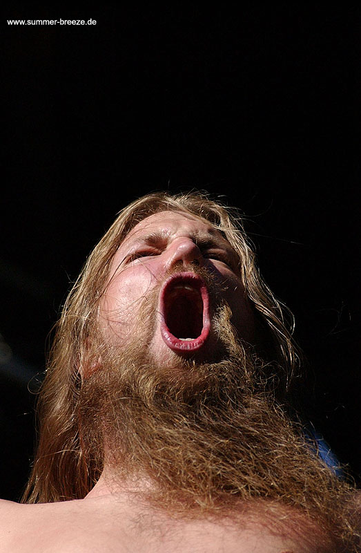 Bild eines Mitglieds der Band Amon Amarth beim Live-Auftritt.